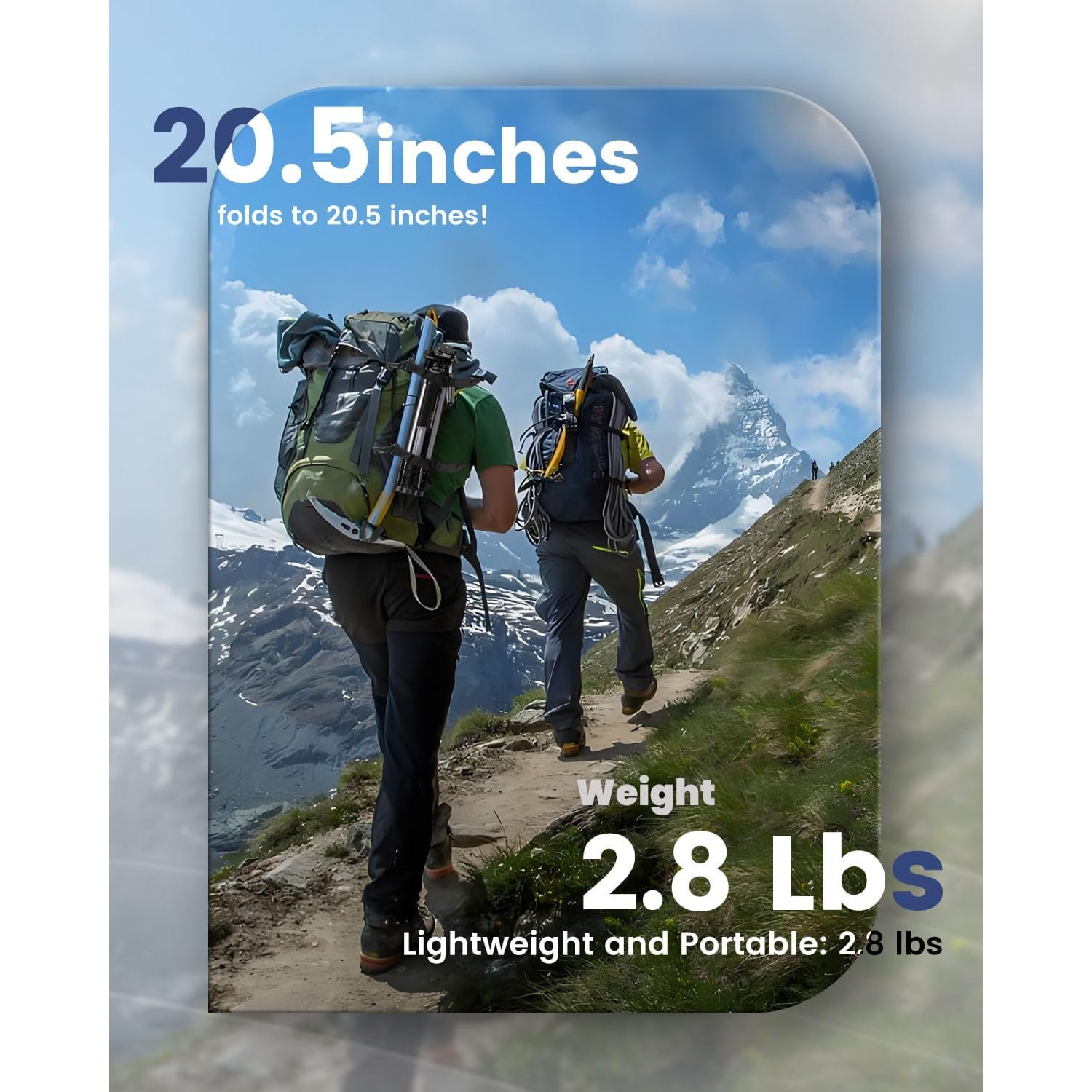 74 Inch Lightweight Aluminum Camera Tripod with 360° Pan Head: image 4