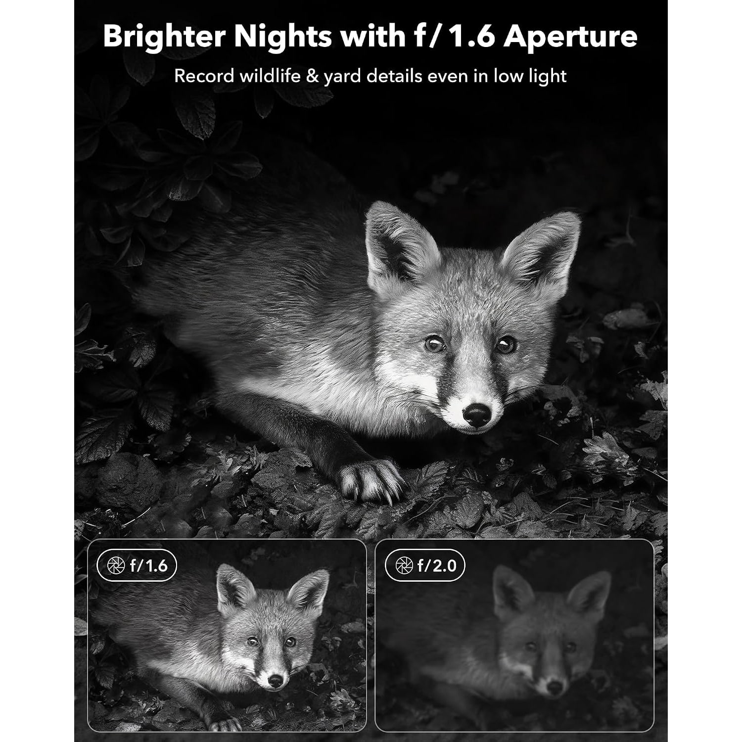 Solar Trail Camera 4K Wildlife Monitor with Night Vision